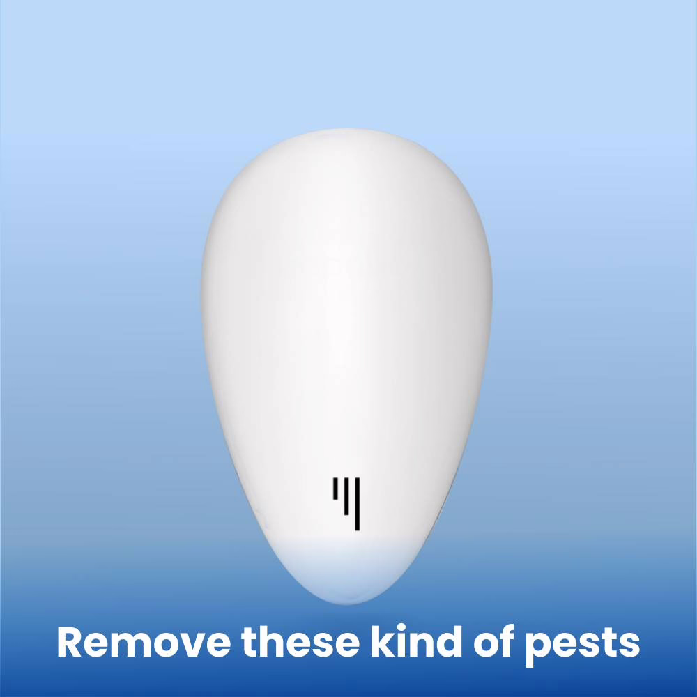 Avant RepellZee : nuisibles présents dans la maison
